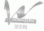 龙之脊
