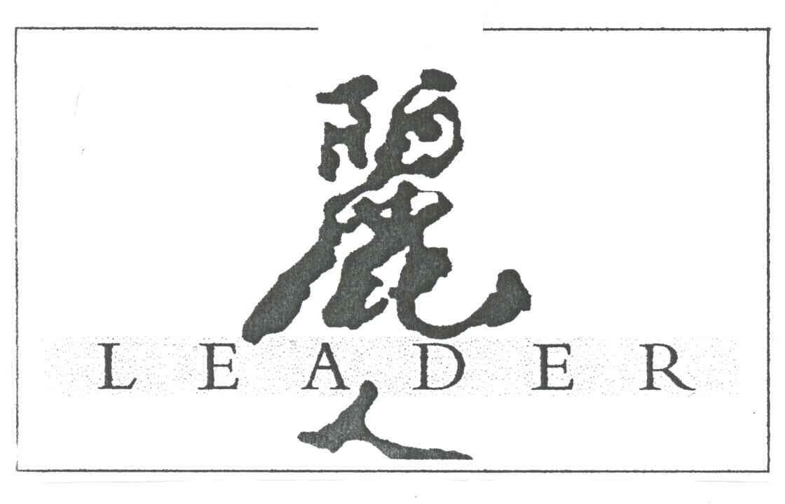 丽人;LEADER