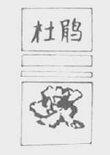 杜鹃