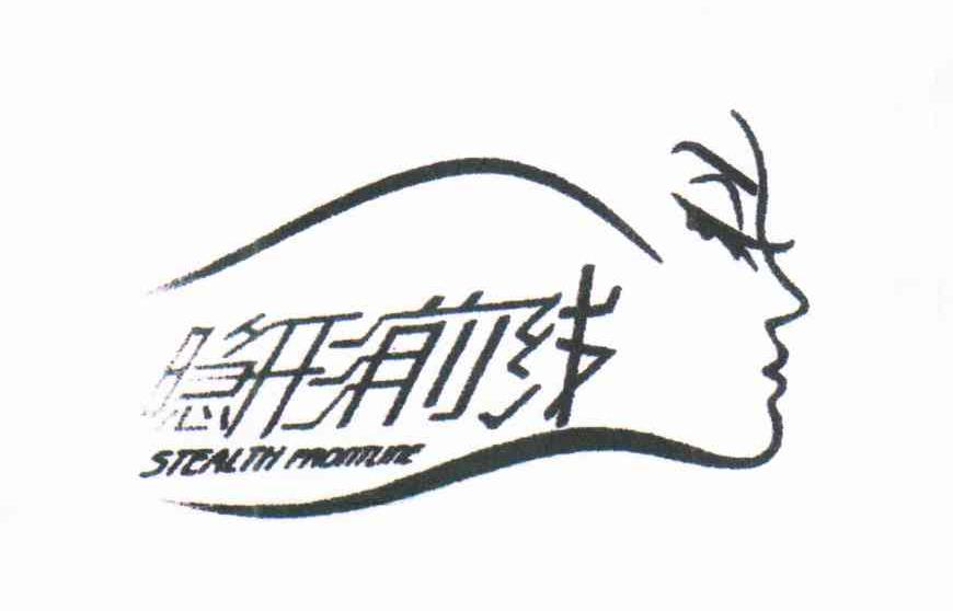 隐形前线;STEALTH FRONTLINE