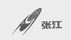 张江