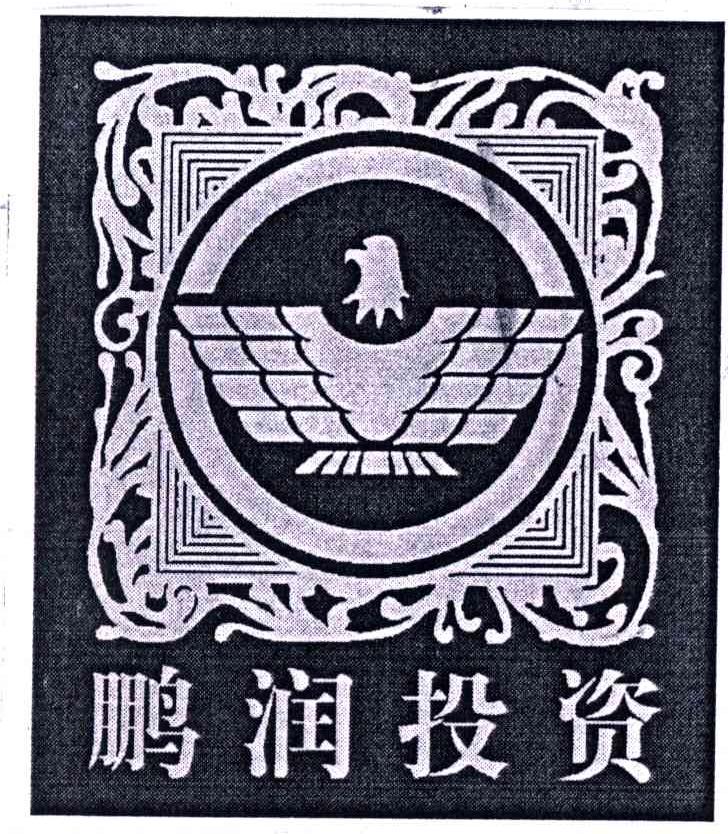 鹏润投资