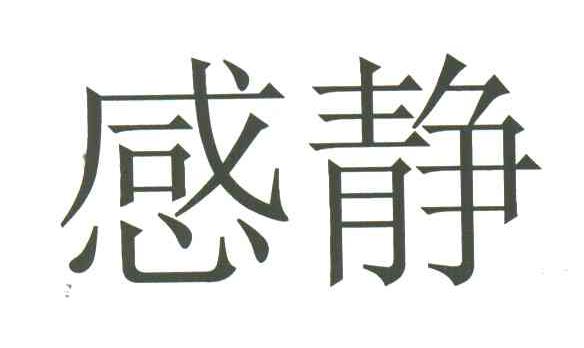 感静