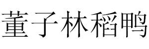 董子林稻鸭