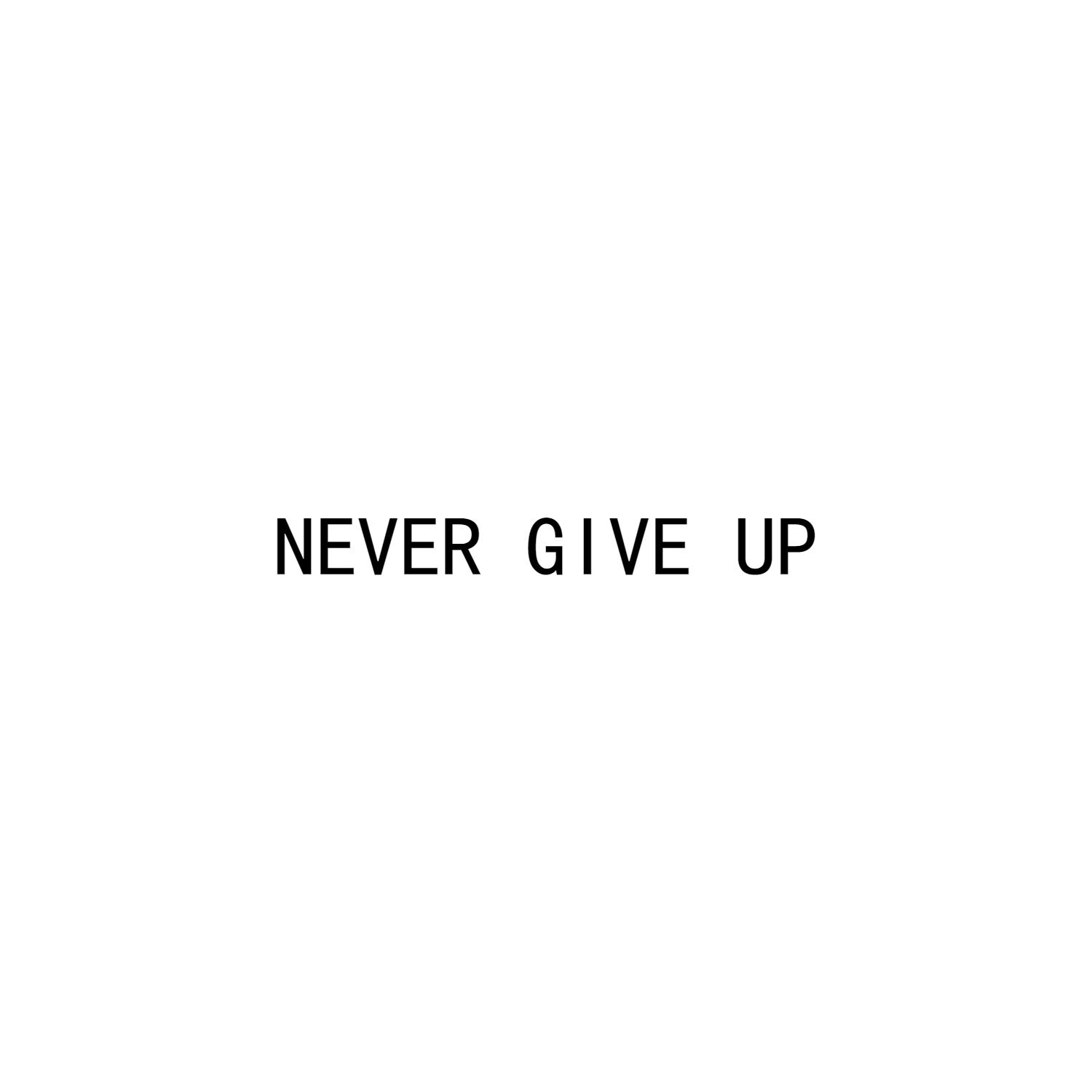 NEVER GIVE UP