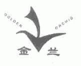 金兰;GOLDEN ORCHID