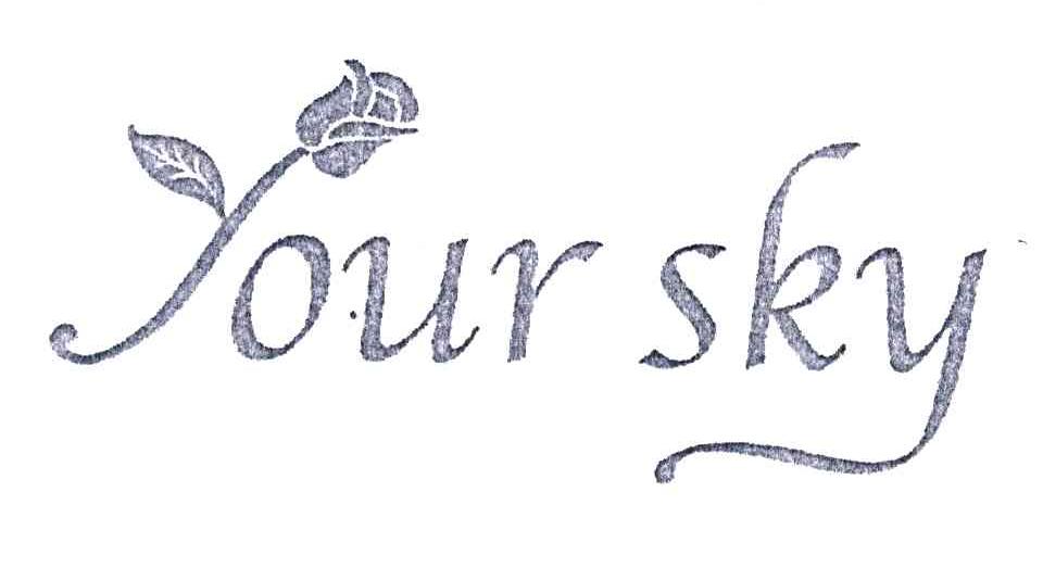 YOUR SKY