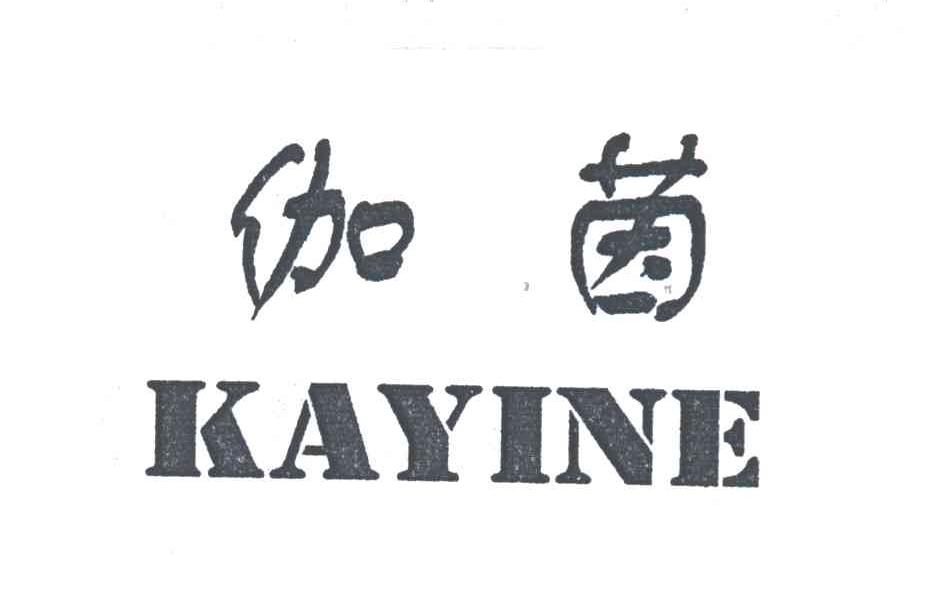 伽茵;KAYINE