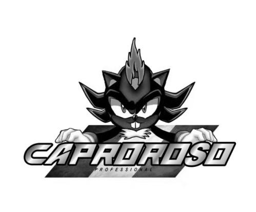 CAPROROSO PROFESSIONAL