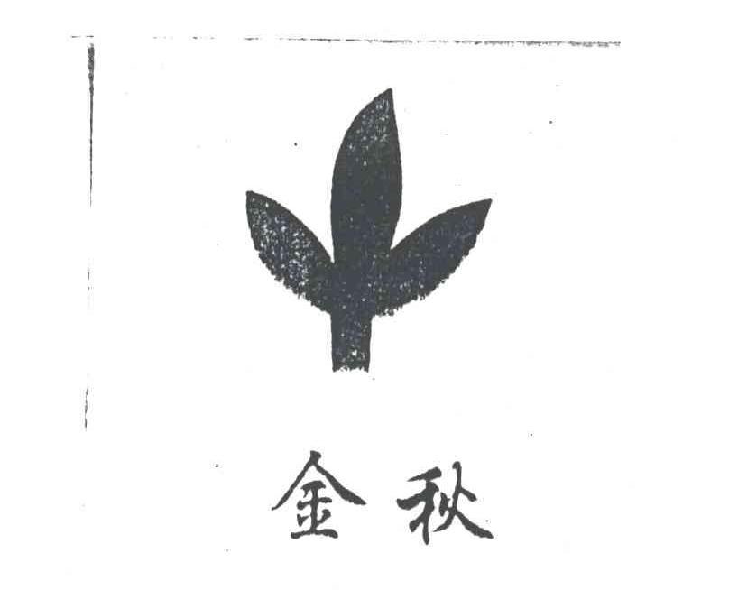金秋及图形