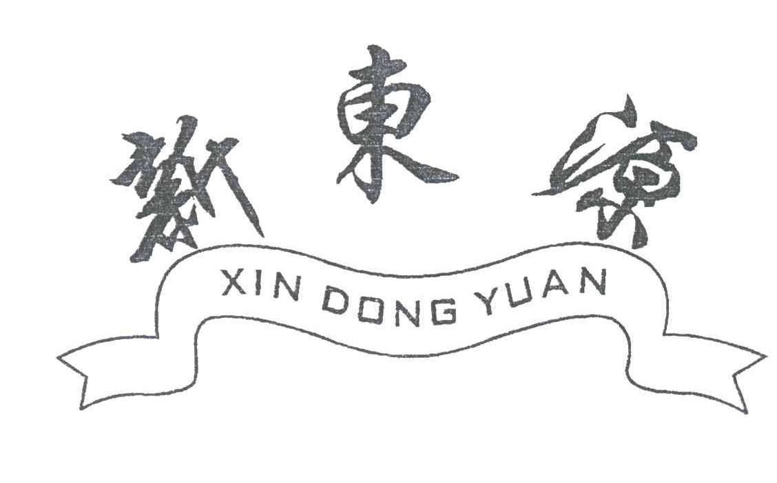 新东源