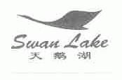 天鹅湖;SWAN LAKE