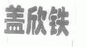 盖欣铁