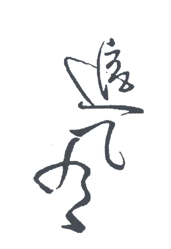 追风