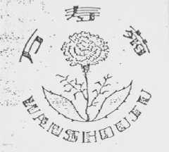 万寿菊