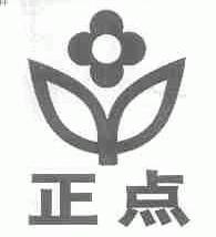 正点