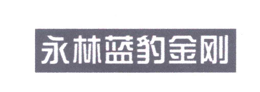 永林蓝豹金刚