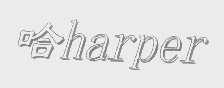 哈   HARPER