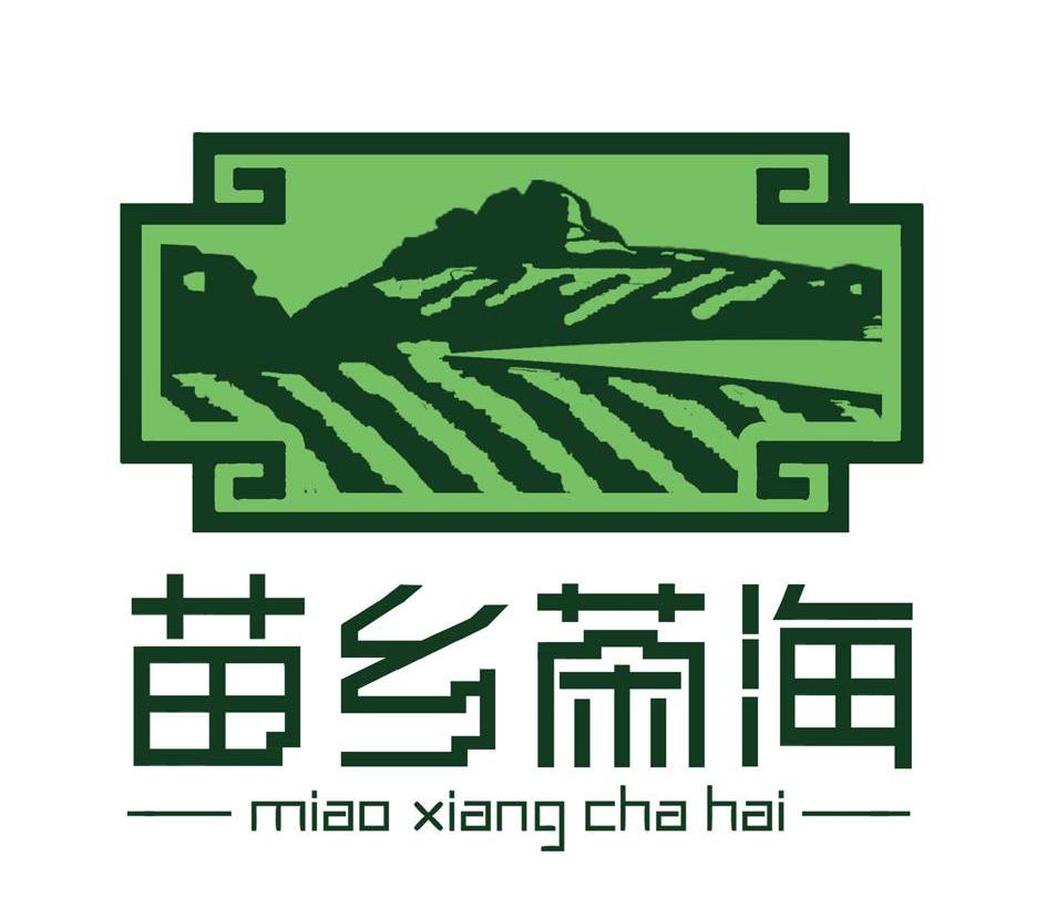 苗乡茶海