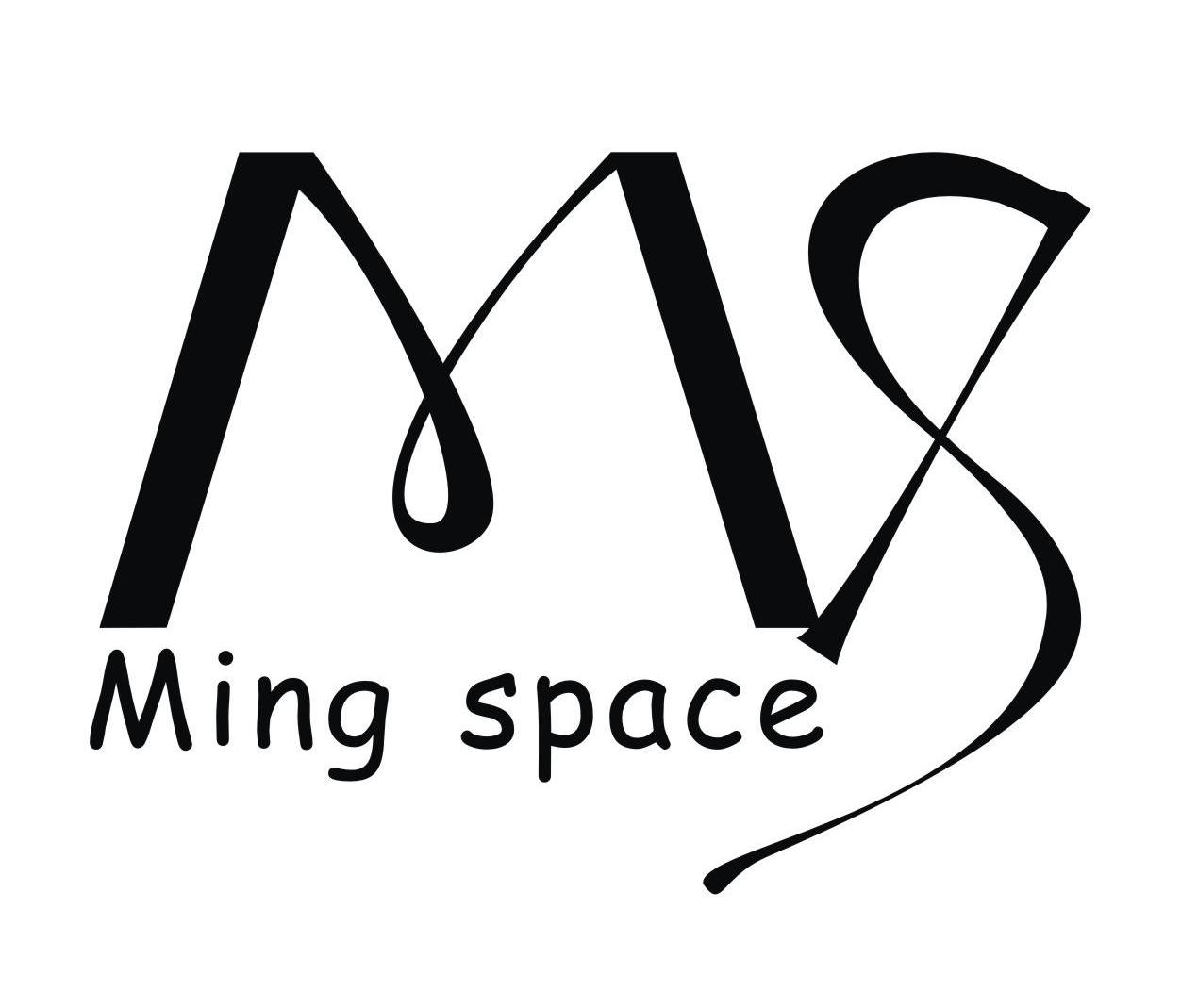 MING SPACE MS