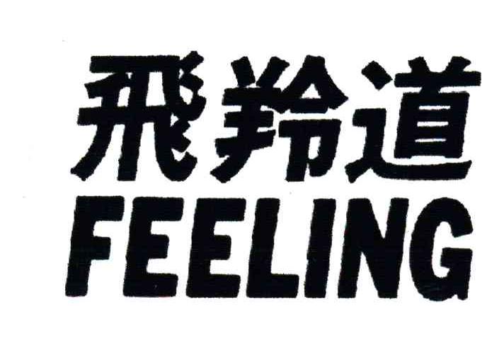飞羚道;FEELING