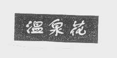 温泉花