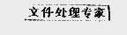 文件处理专家