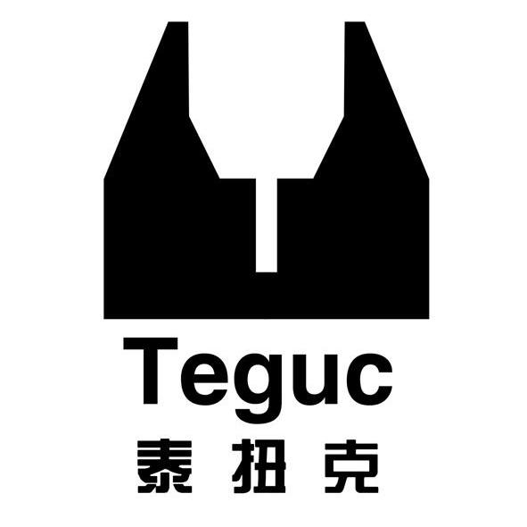 泰扭克 TEGUC