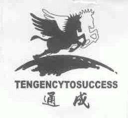 通成;TENGENCYTOSUCCESS