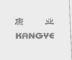 康业