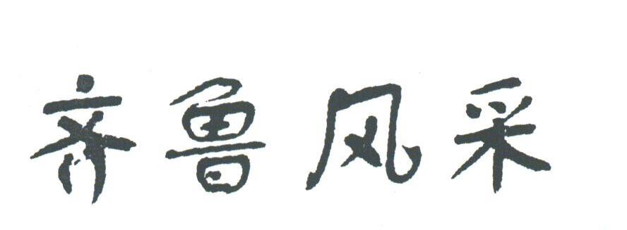 齐鲁风采