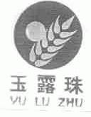 玉露珠