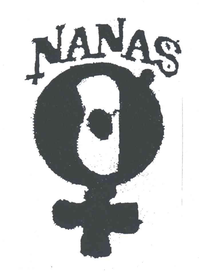 NANAS及图形