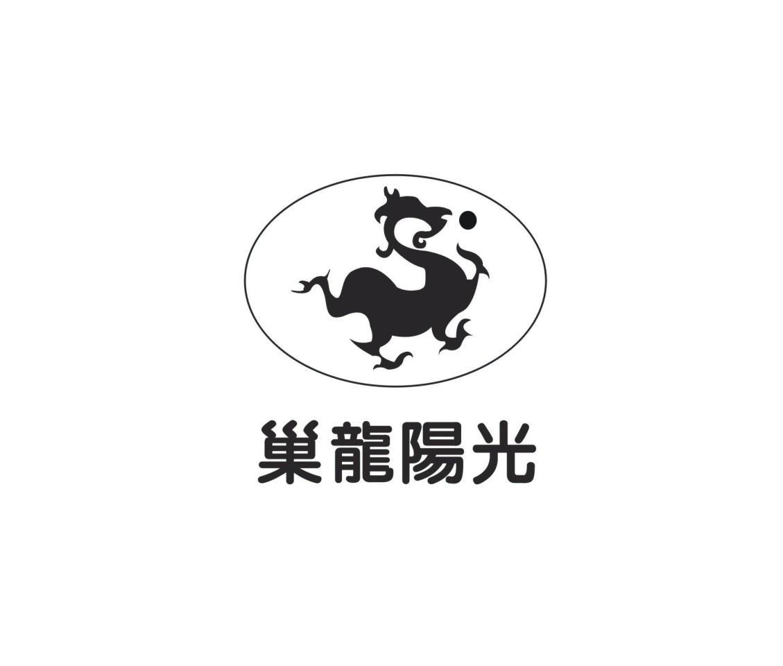 巢龙阳光