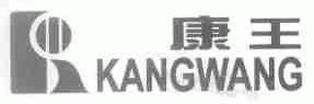 康王
