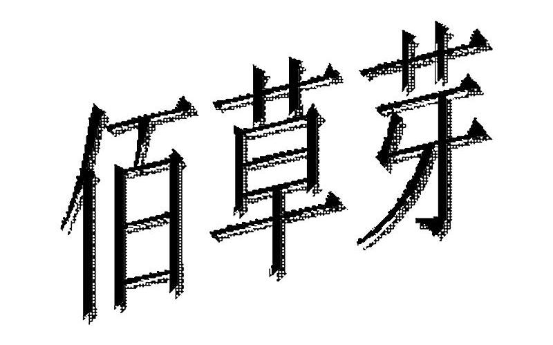 佰草芽