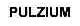PULZIUM