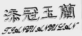 添冠玉兰