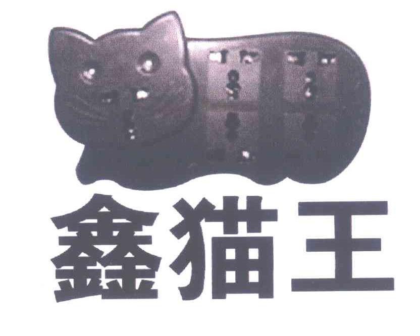 鑫猫王