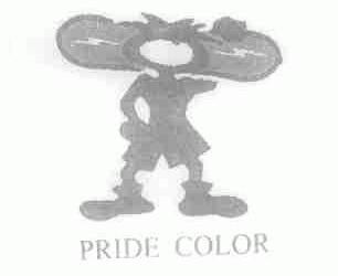 PRIDE COLOR