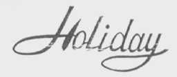 HOLIDAY