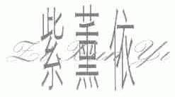 紫薰依
