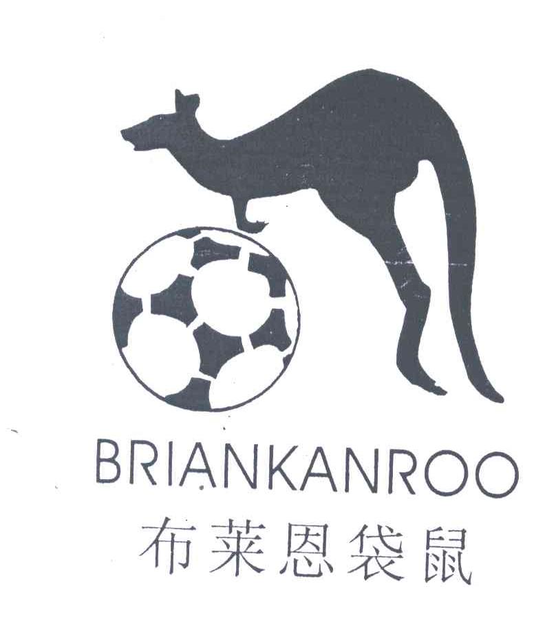 布莱恩袋鼠;BRIANKANROO