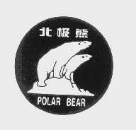 北极熊   POLAR BEAR