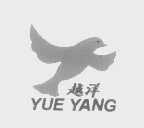 越洋