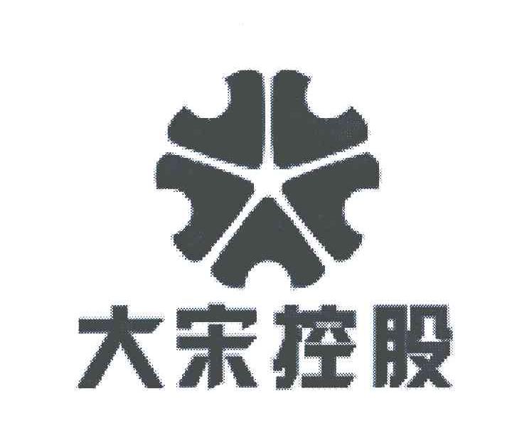 大宋控股