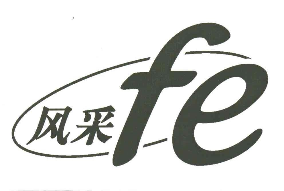 风采;FE