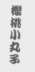 樱桃小丸子