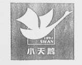 小天鹅    LITTLL SWAN