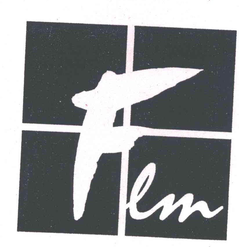 FEM